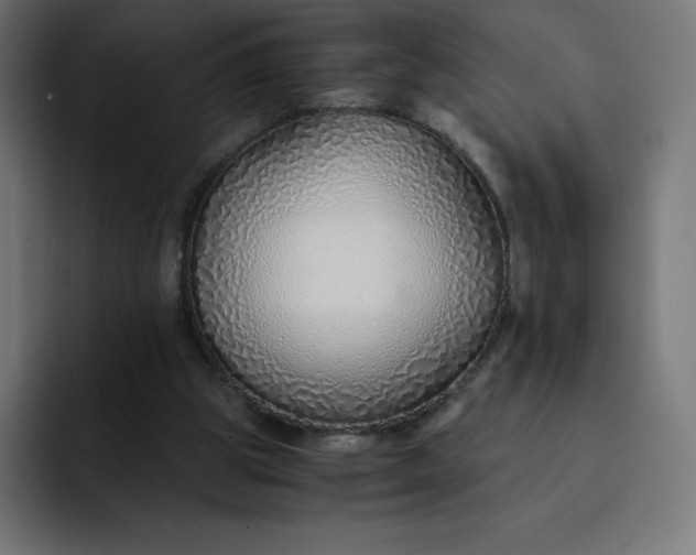 X0000093150153200710101142