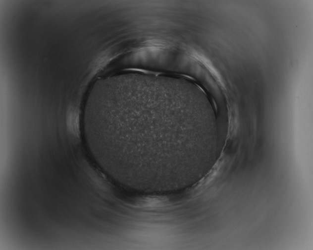 X0000093150154200710101142