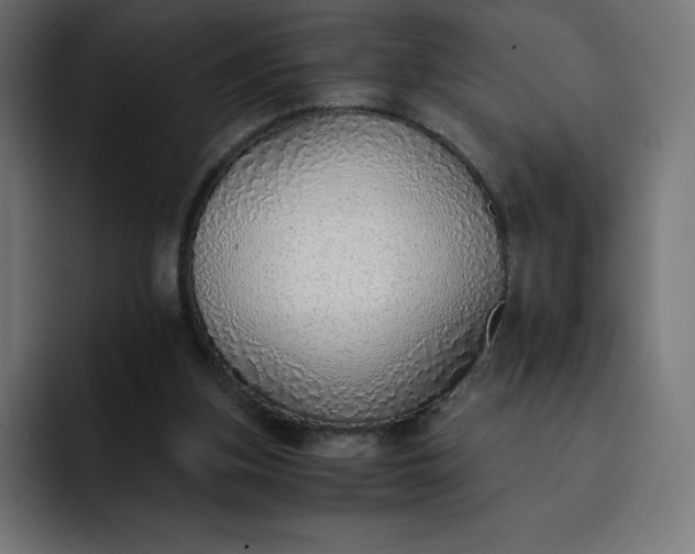 X0000093150155200710101142