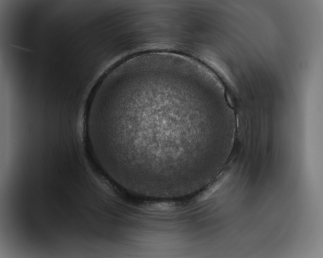 X0000093150156200710101142