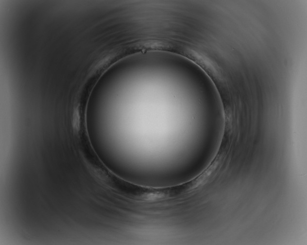 X0000093150158200710101142