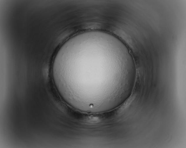 X0000093150159200710101142