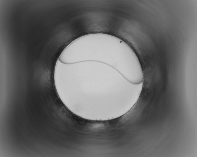 X0000093150162200710101142