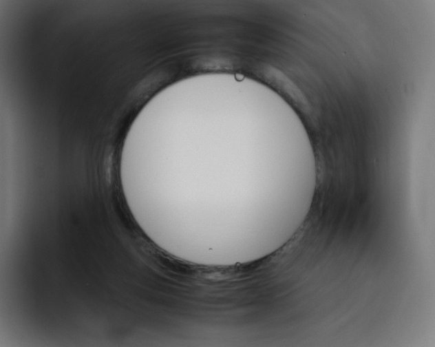 X0000093150163200710101142