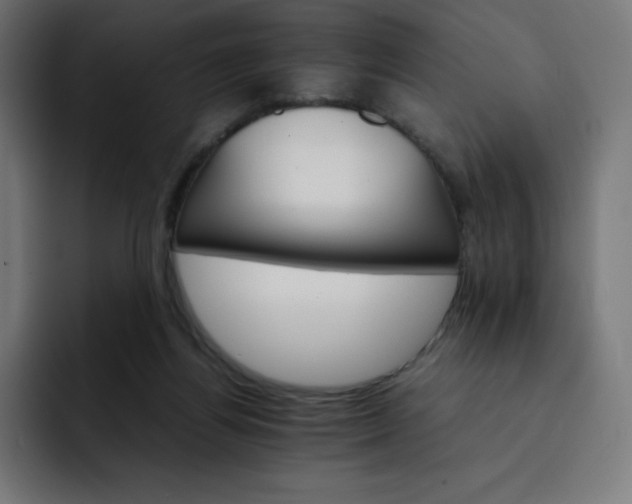 X0000093150164200710101142