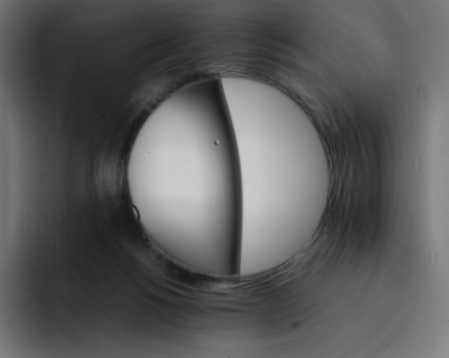 X0000093150168200710101142