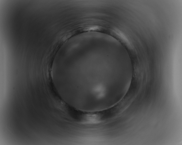 X0000093150169200710101142