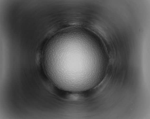 X0000093150171200710101142