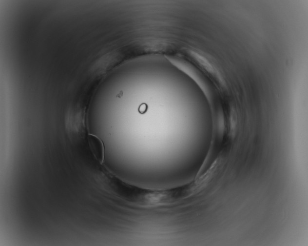 X0000093150172200710101142