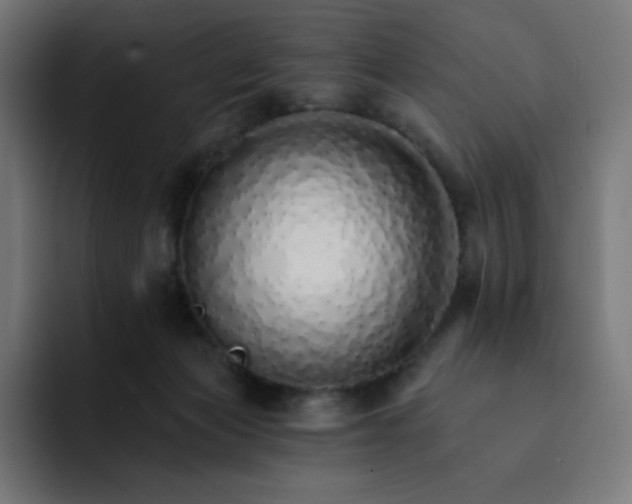 X0000093150173200710101142