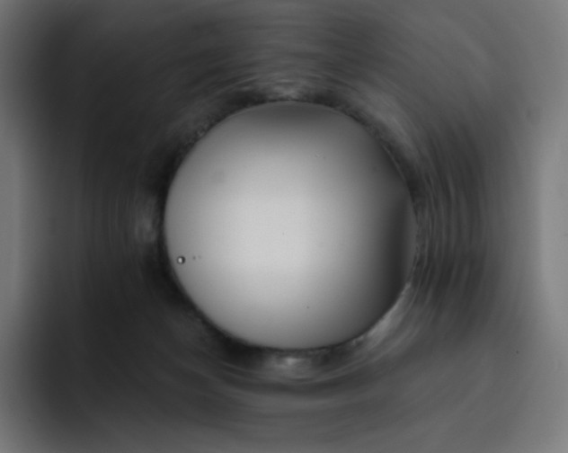 X0000093150174200710101142