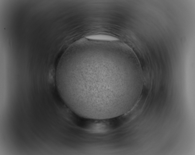 X0000093150175200710101142