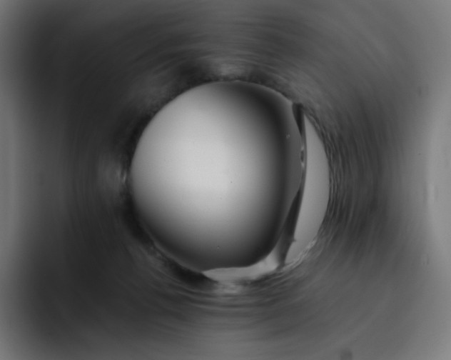 X0000093150176200710101142