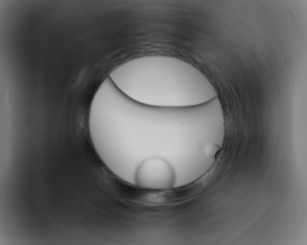 X0000093150178200710101142