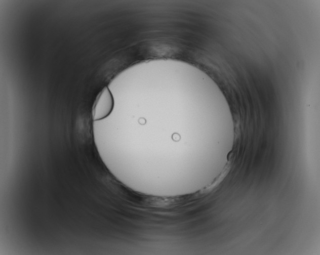 X0000093150182200710101142