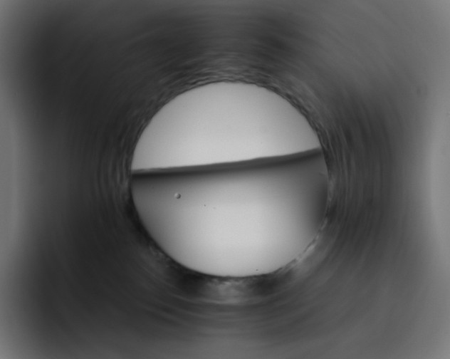 X0000093150186200710101142