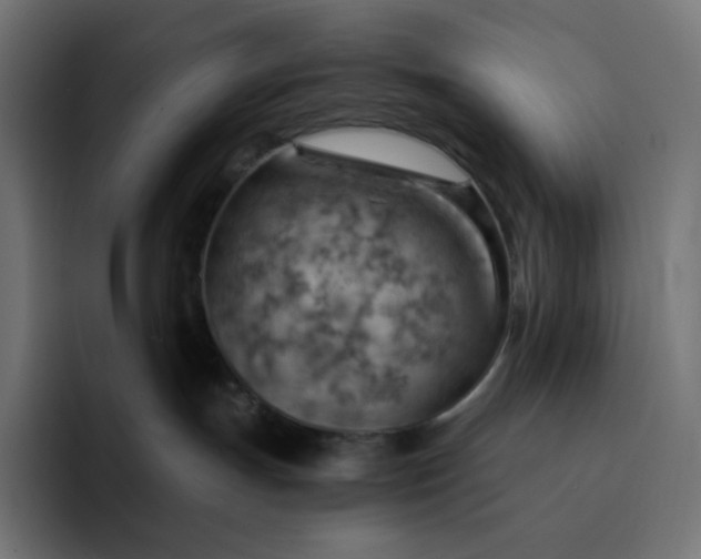 X0000093150191200710101142