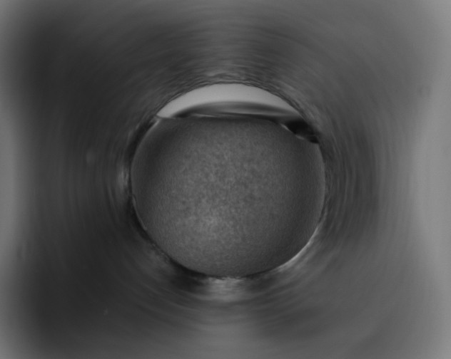 X0000093150192200710101142