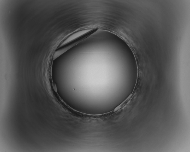 X0000093150193200710101142