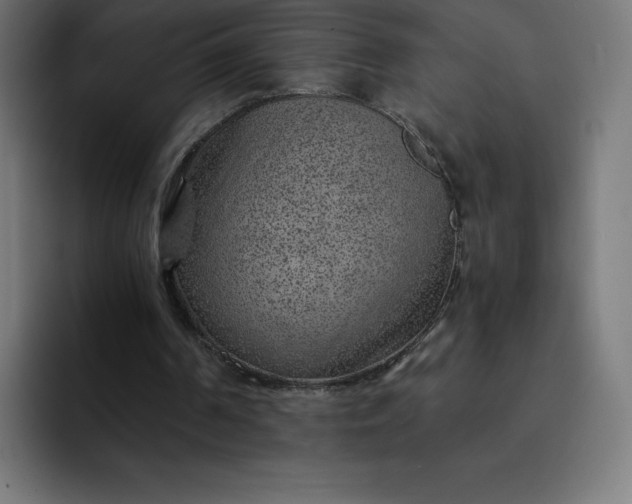 X0000093150194200710101142