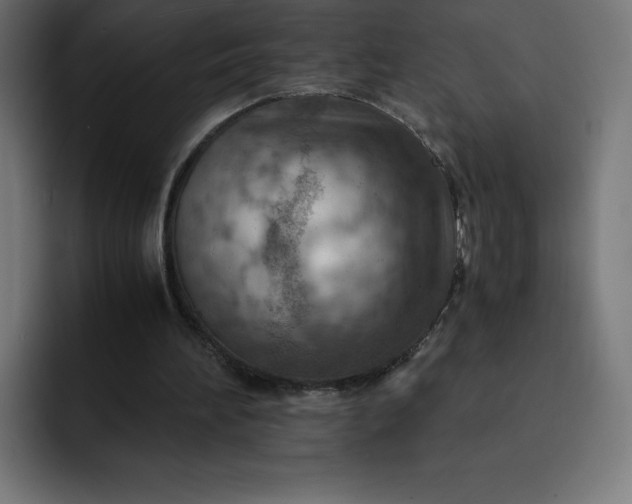 X0000093150196200710101142