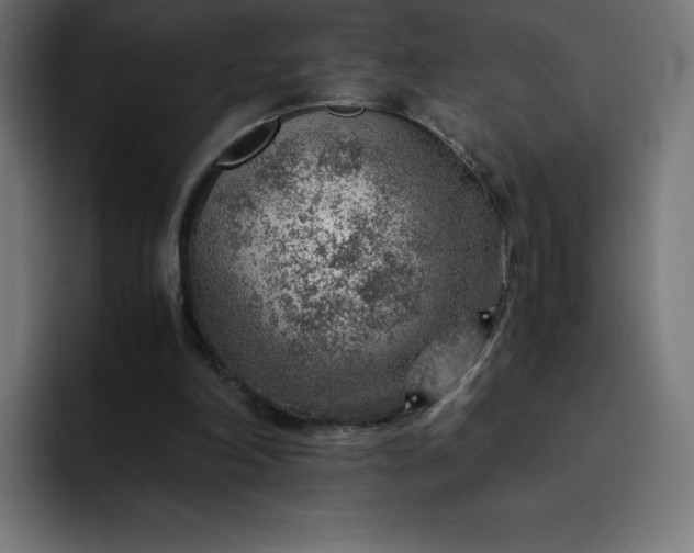 X0000093150198200710101142