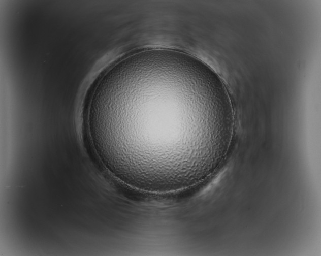 X0000093150199200710101142