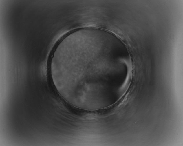 X0000093150200200710101142