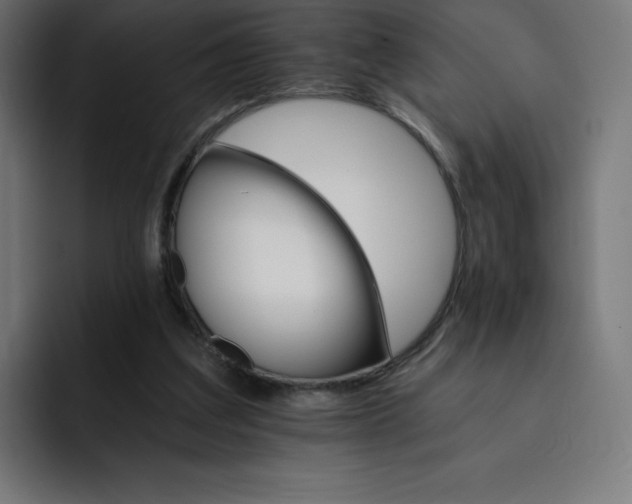 X0000093150203200710101142