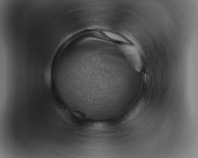 X0000093150204200710101142