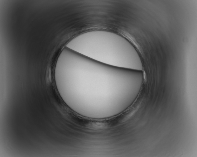 X0000093150205200710101142