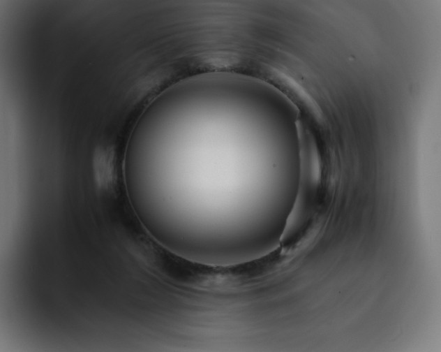 X0000093150212200710101142