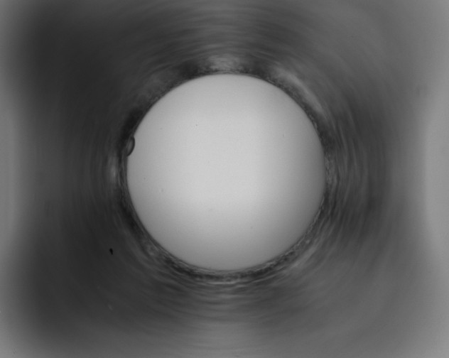 X0000093150213200710101142