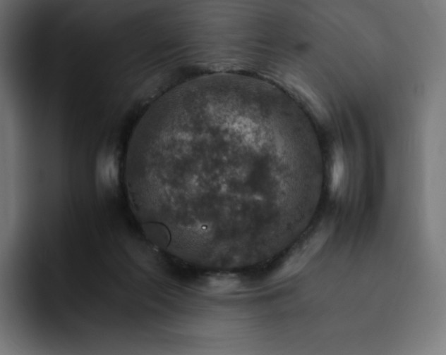 X0000093150214200710101142