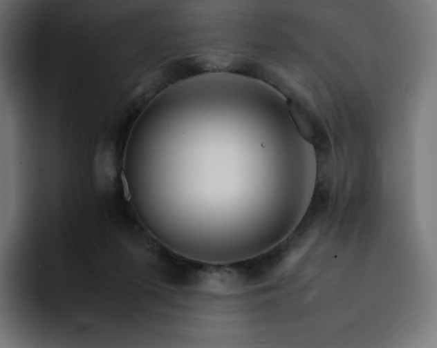 X0000093150215200710101142