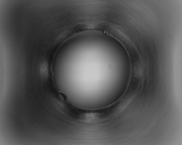 X0000093150216200710101142