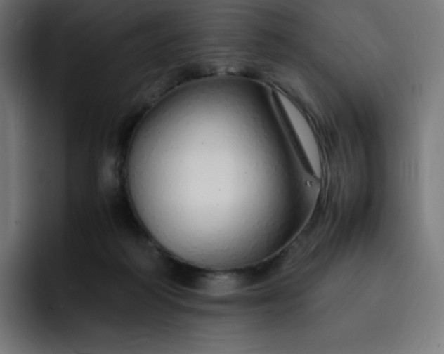 X0000093150218200710101142