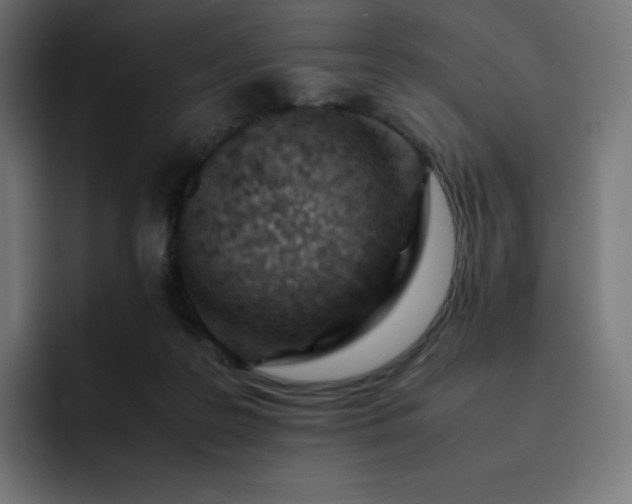 X0000093150219200710101142