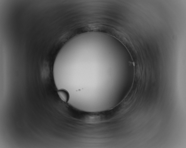 X0000093150220200710101142