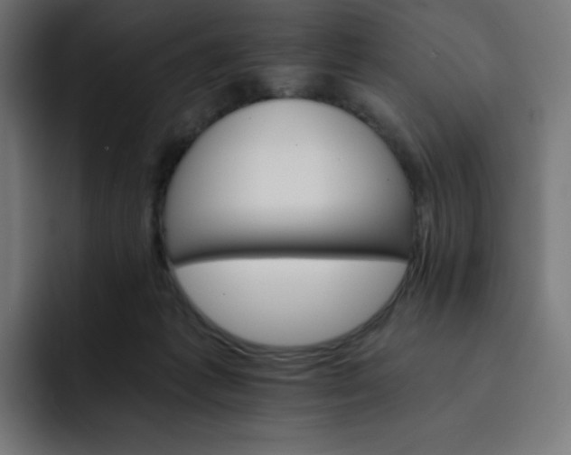 X0000093150221200710101141