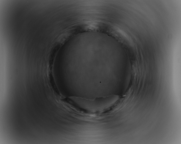 X0000093150223200710101141