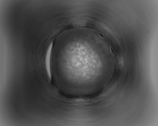 X0000093150224200710101141