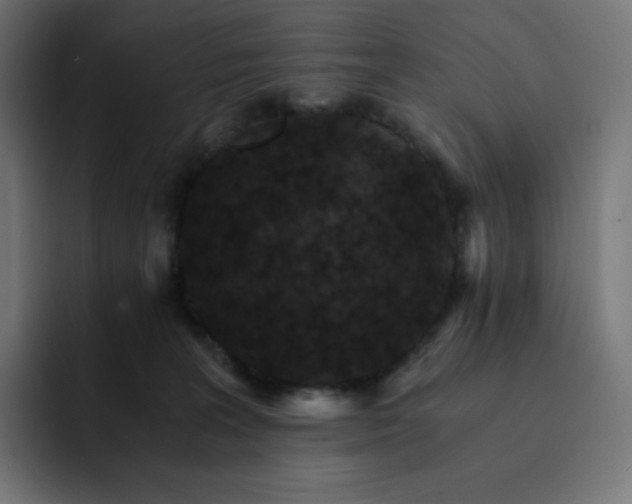 X0000093150227200710101141