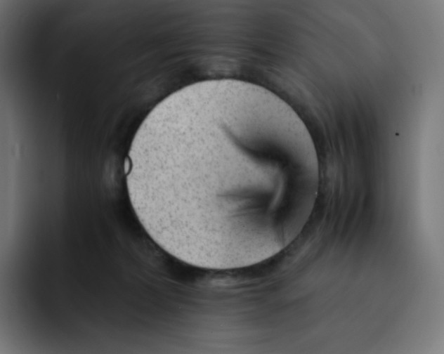 X0000093150228200710101141