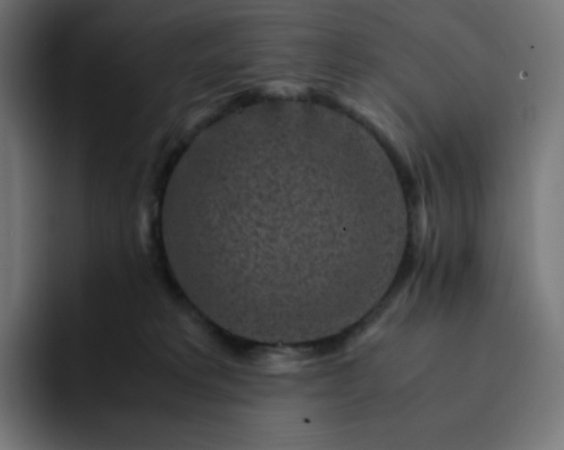 X0000093150229200710101141