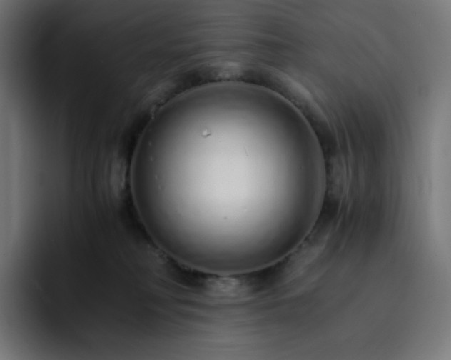 X0000093150230200710101141