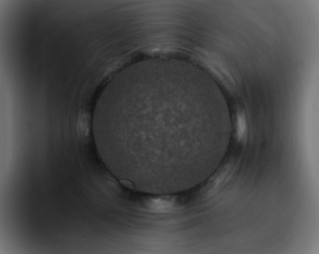 X0000093150232200710101141