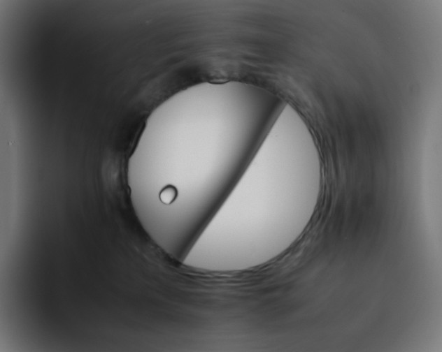 X0000093150233200710101141