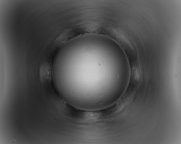 X0000093150234200710101141