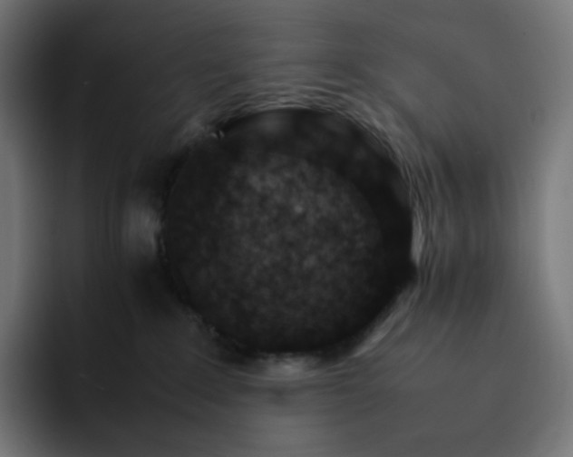 X0000093150235200710101141